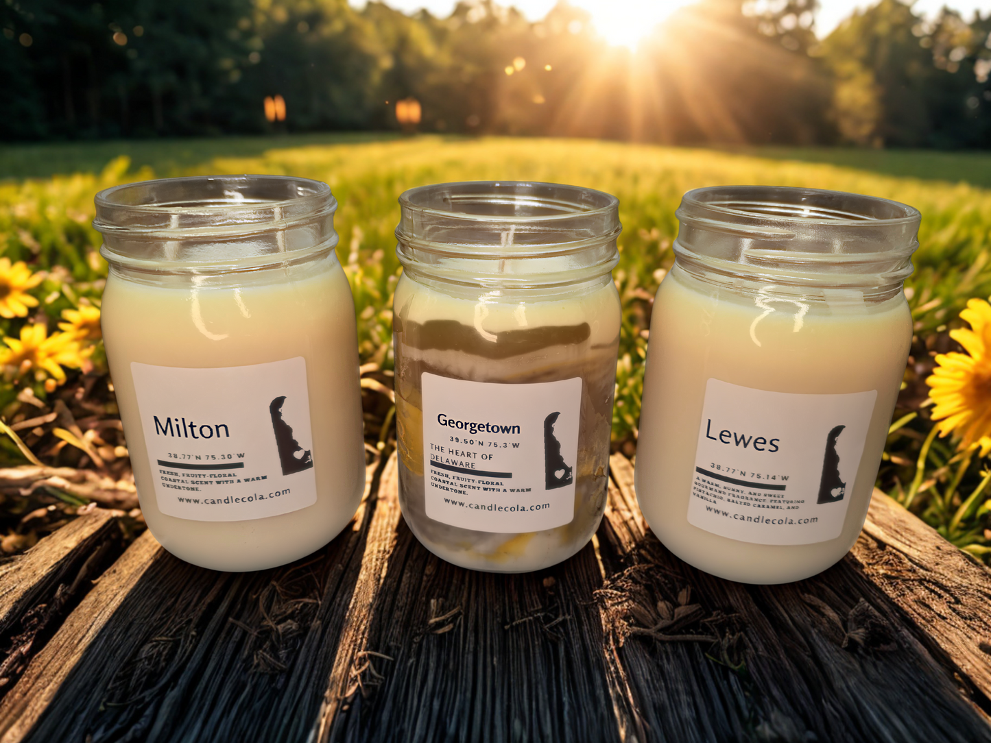 Sussex County Delaware 12 ounce Two Wick Mason Jar Candles