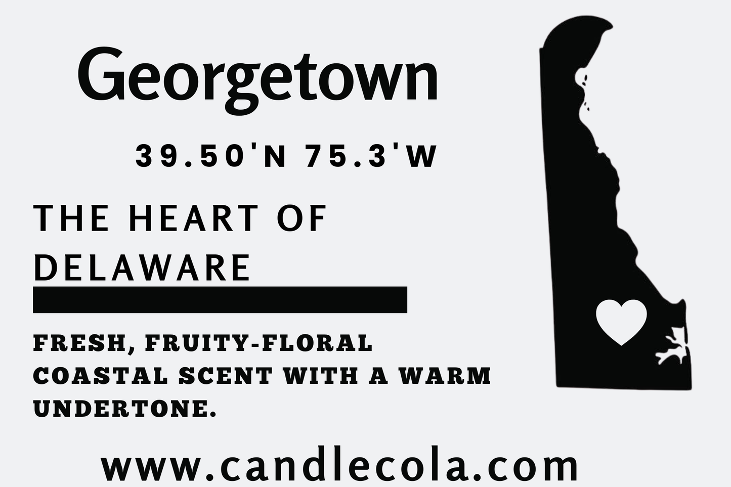 Sussex County Delaware 12 ounce Two Wick Mason Jar Candles